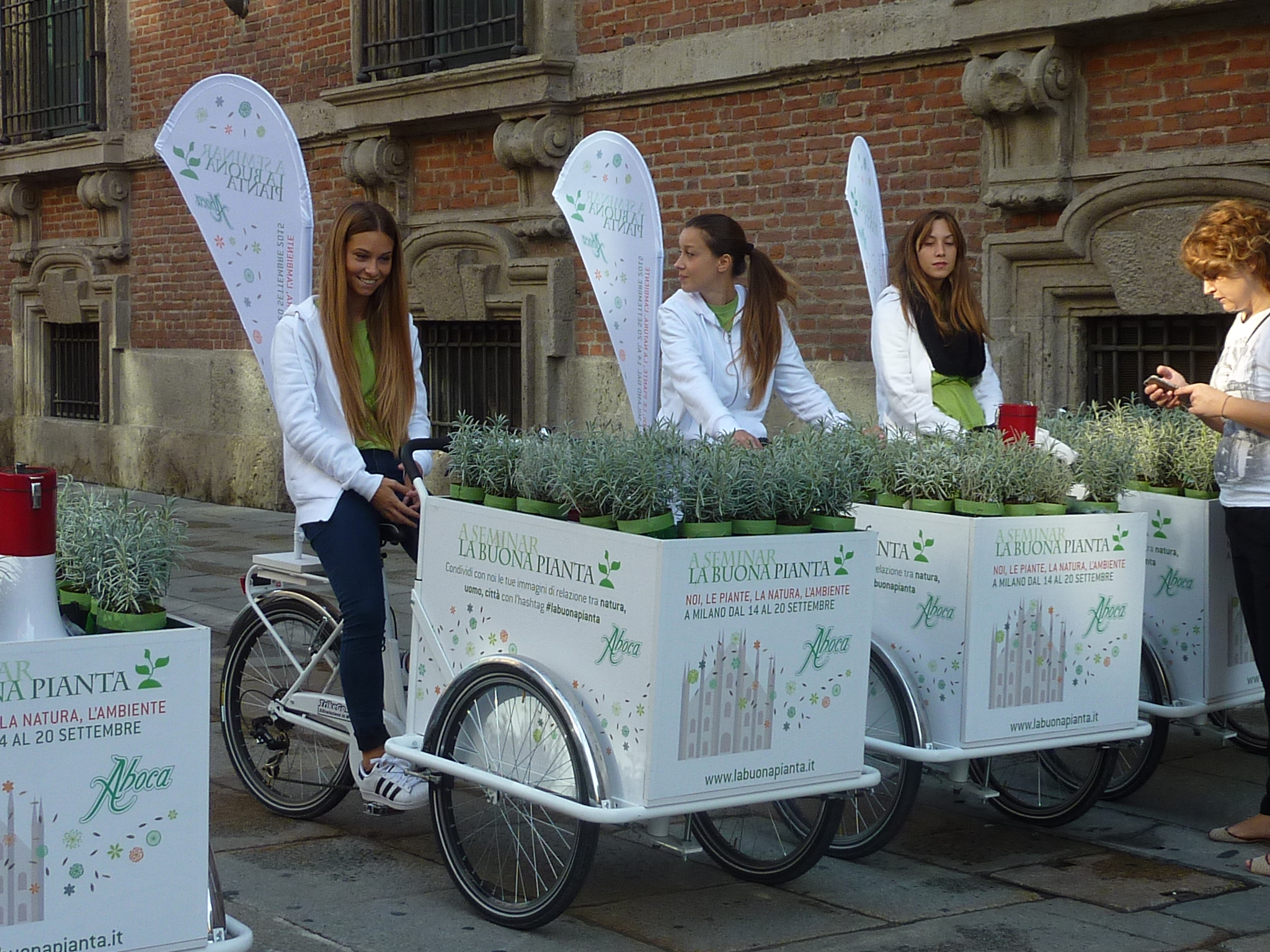 Cargo Bike per Animali - Manolo Bikes