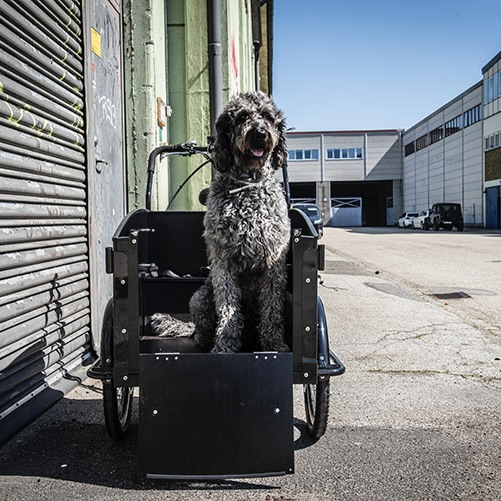 cargobike-dog-loc-1