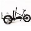 treebike_family_sito