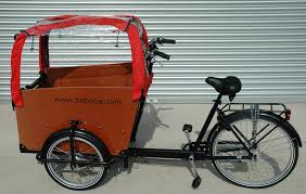 Babboe-cargobike-trasporto animali-trasporto bambini-16