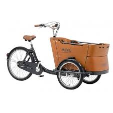 cargobike-babboe-trasporto bambini-4 bambini