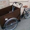 trikego-cargo bike-bicicletta da carico-trasporto bambini- bicicletta trasporto bambini