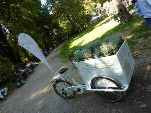 trikego-cargo bike-bicicletta da carico-trasporto bambini- bicicletta trasporto merci-bicicletta da lavoro