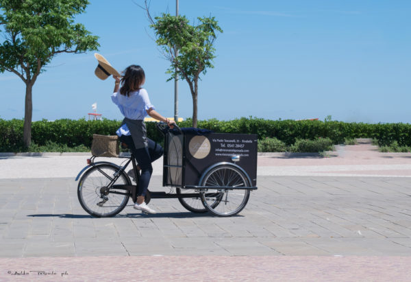 trikego-cargobike-bicicletta da carico-trasporto merci-trasporto bambini-box personalizzabile