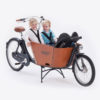 CargoBike a 2 Ruote per trasporto bambini e animali