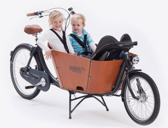 CargoBike a 2 Ruote per trasporto bambini e animali
