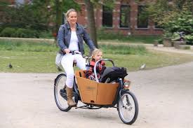 Babboe-cargobike-trasporto animali-trasporto bambini-10