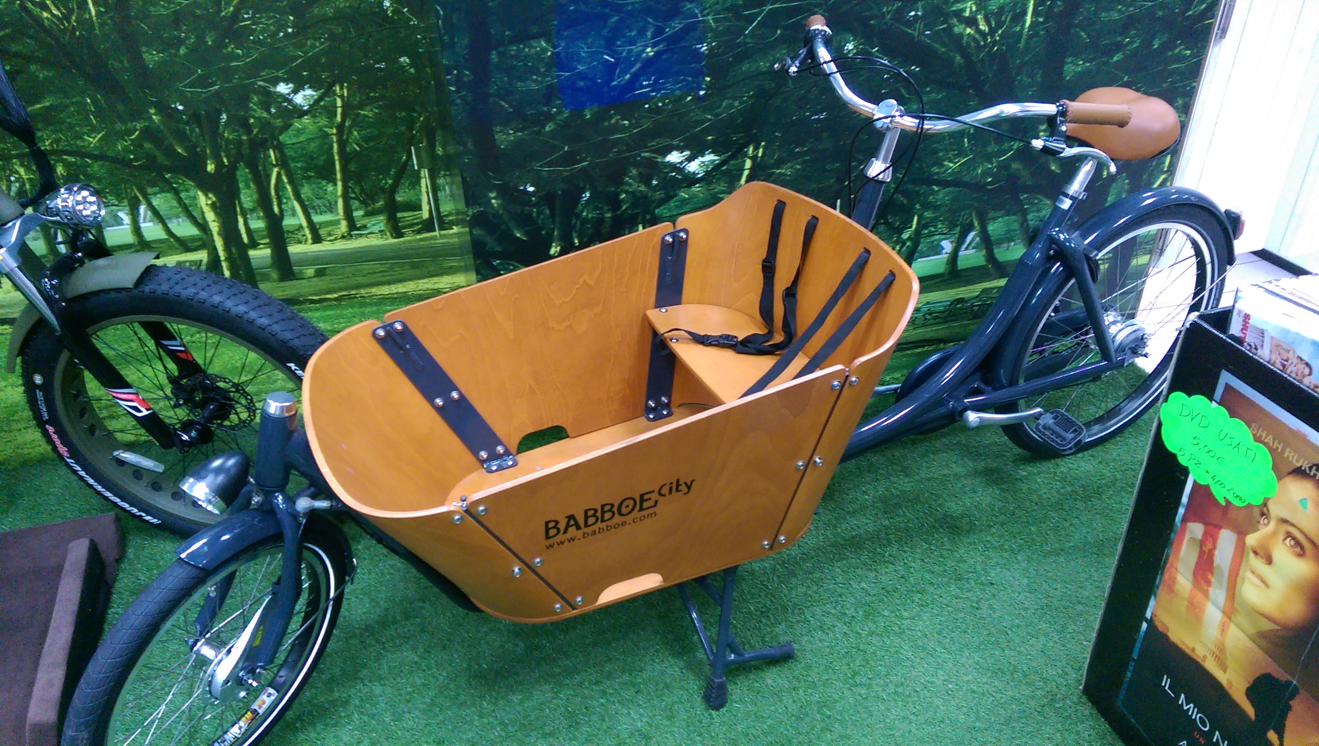 Babboe-cargobike-trasporto animali-trasporto bambini-usata