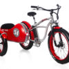 Beach-Vintage-fat-sidecar- bici con passeggero-02