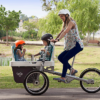 Taga2-cargobike-trasporto bambini-trasporto animali-03