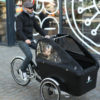 trioBike_trasporto bambini_4 bambini_cargobike_boxter_1