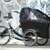 trioBike_trasporto bambini_4 bambini_cargobike_boxter_2