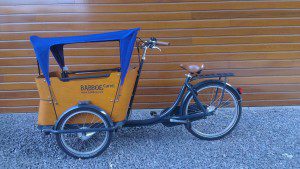 babboe-parasole-blu