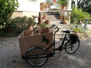 cargo-bike-trikego