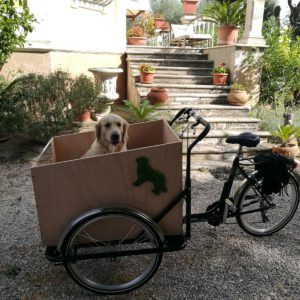 cargo-bike-trikego