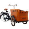 babboe-cargobike-trasporto bambini-4 bambini-bambini-elettrica-06