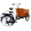 babboe-cargobike-trasporto bambini-4 bambini-bambini-elettrica-09
