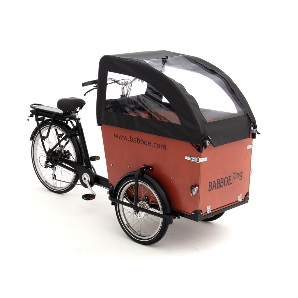 DOG-E-2019-02-01-135 (2)