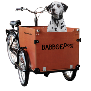 _MG_8825met hond