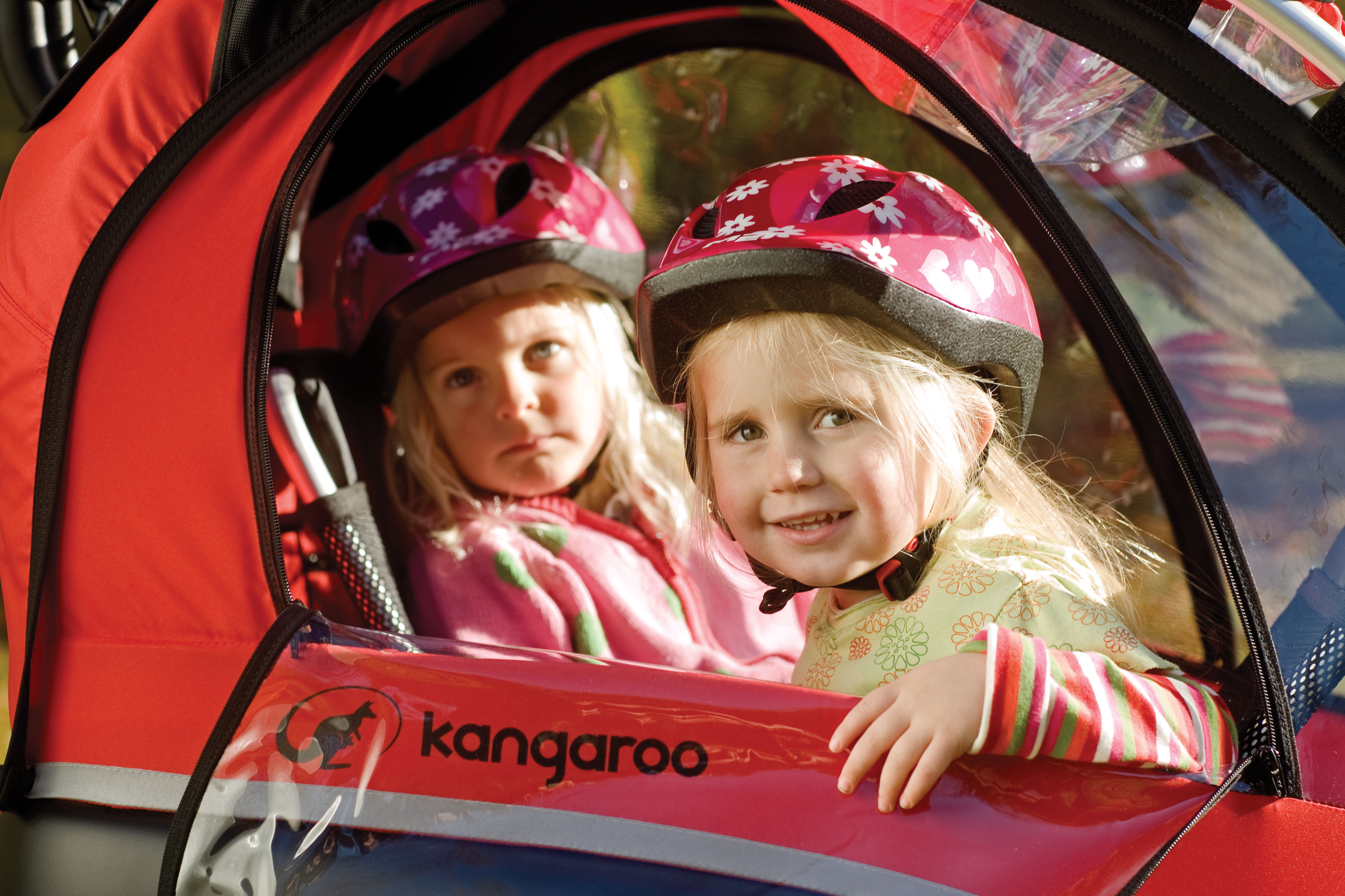 Kangaroo_luxe_ Children_window