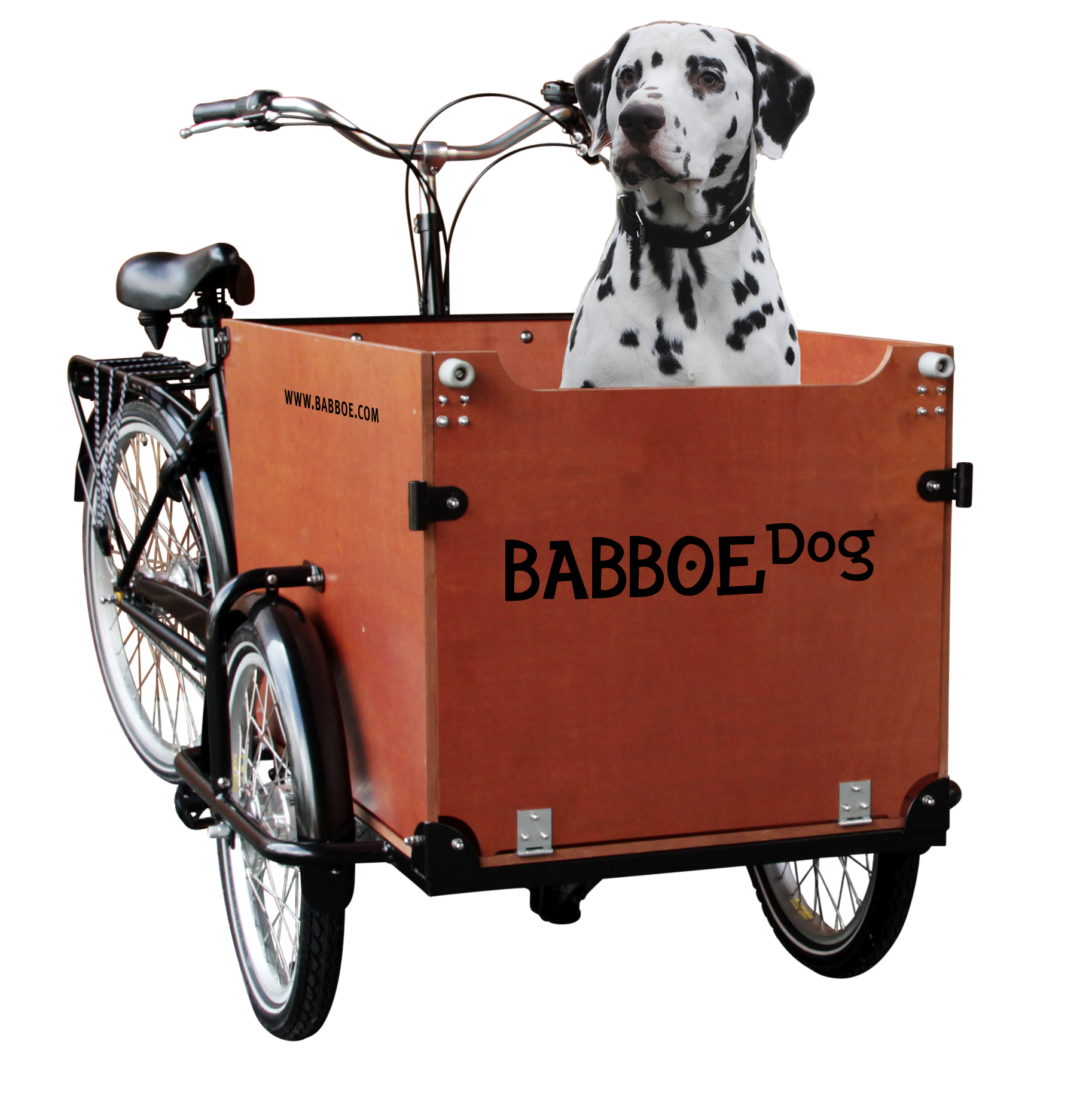 Cargo bike Babboe Dog-E
