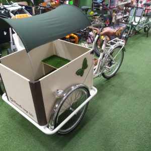 3 Ruote Archivi - Manolo Bikes