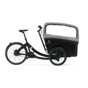 triobike boxter 4 kids hood