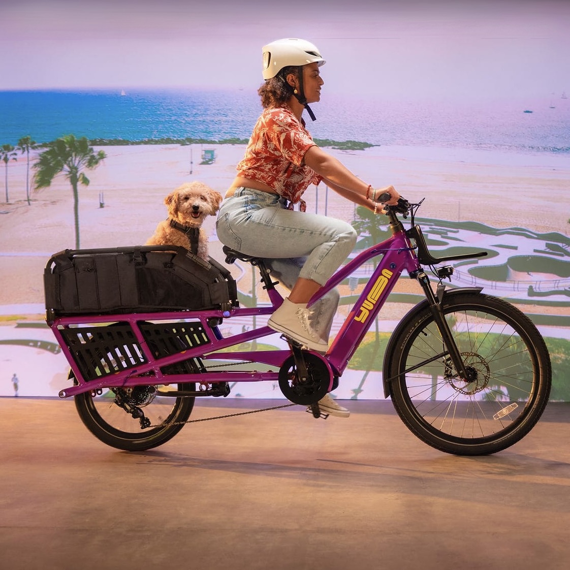 Yuba_Bikes_Lifestyle_SpicyCurry_VeryBerry_Sideview_WoofTop_Dog_BaseRack-1