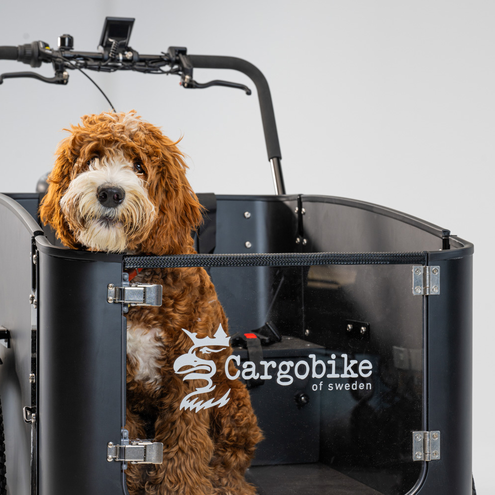 David-Elg-Moob-Cargobike-Flex-Dog-3-2023-85-s 2