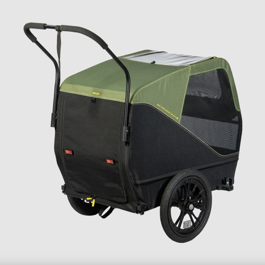 XLC dog 5
