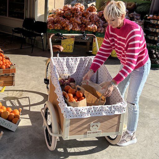 cuore-candy-pandabike-cargo-bike-per-spesa