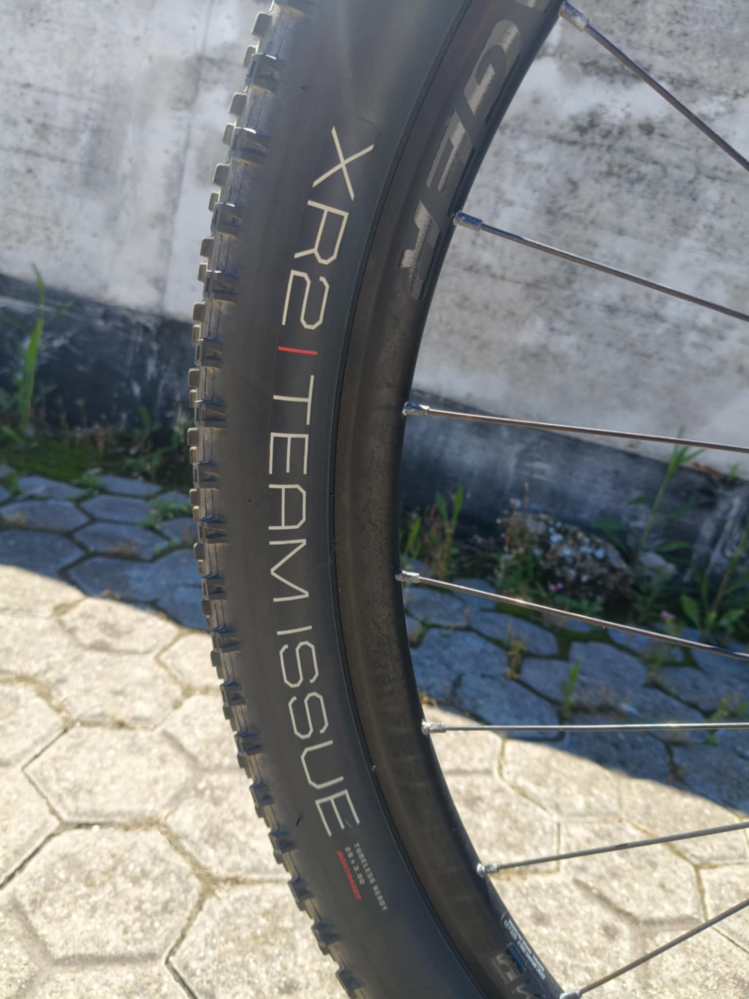 Trek MTB 02