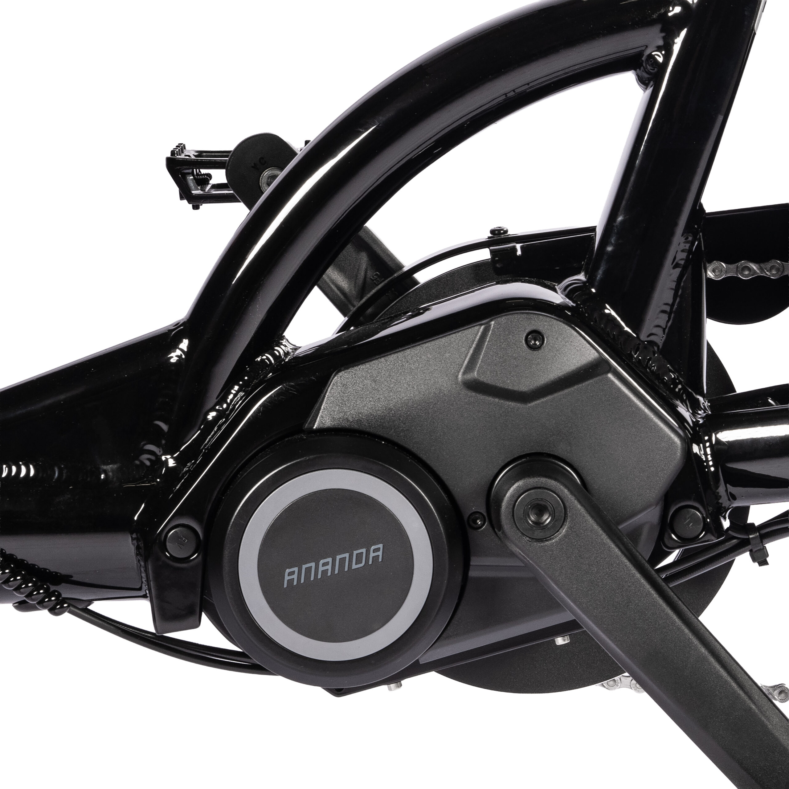 1160-1 Cargobike Delight Nova-High-res-14 1160-1 Cargobike Delight Nova-High-res-14